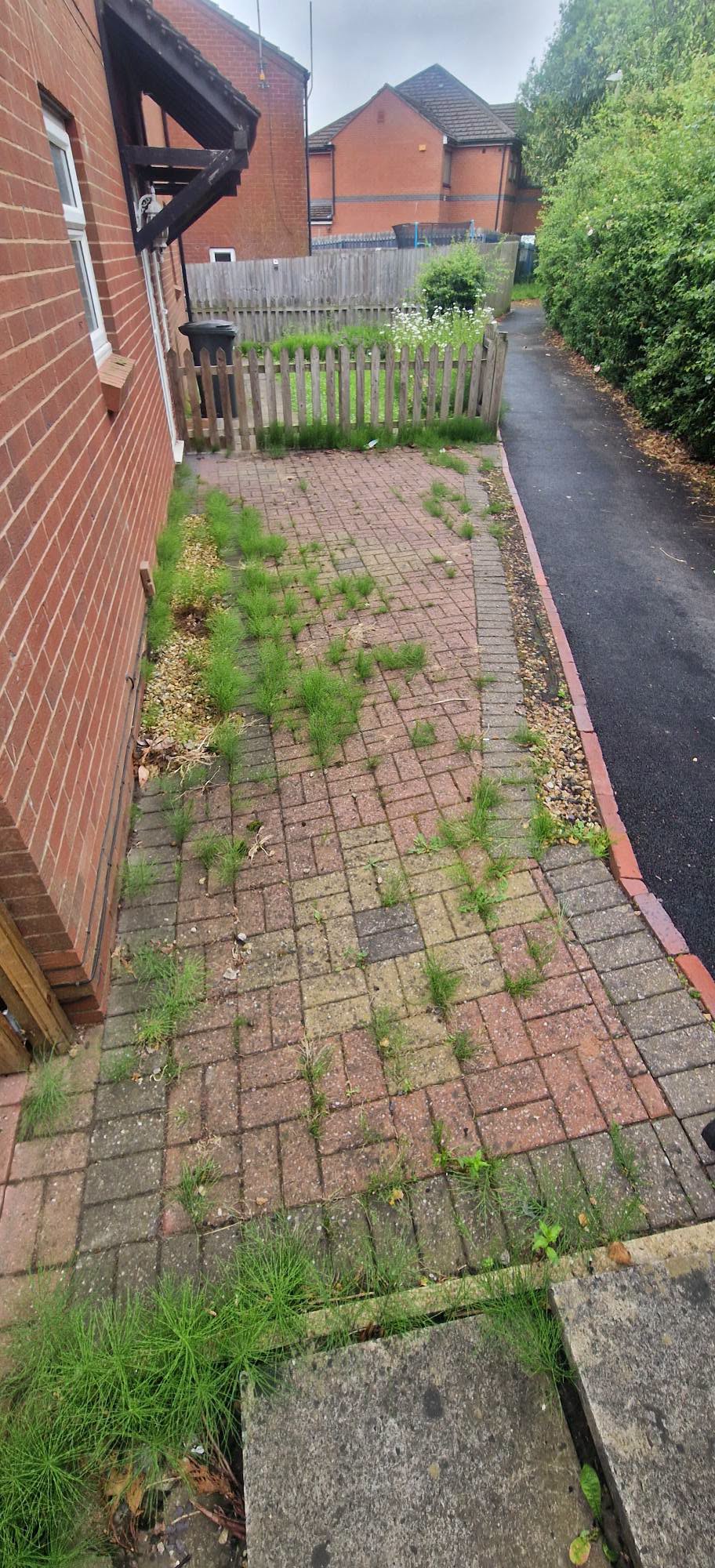 Block paving side path overgrown with weeds and moss before cleaning