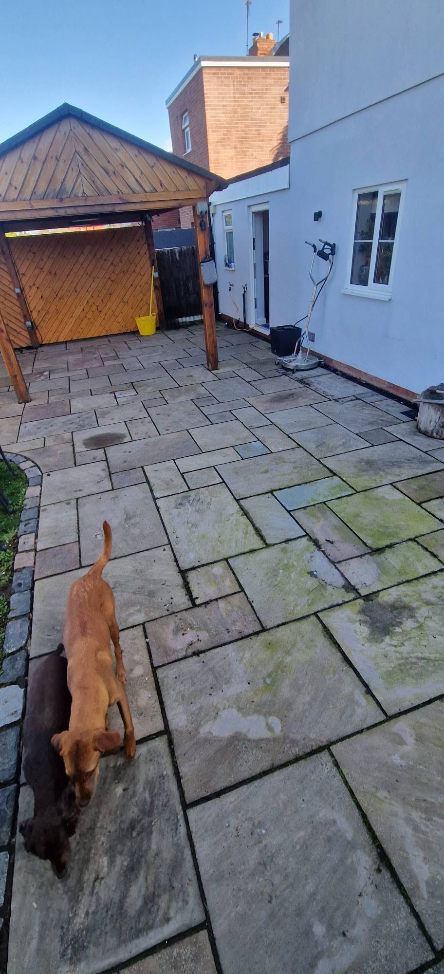 Indian sandstone patio covered in green algae growth before cleaning