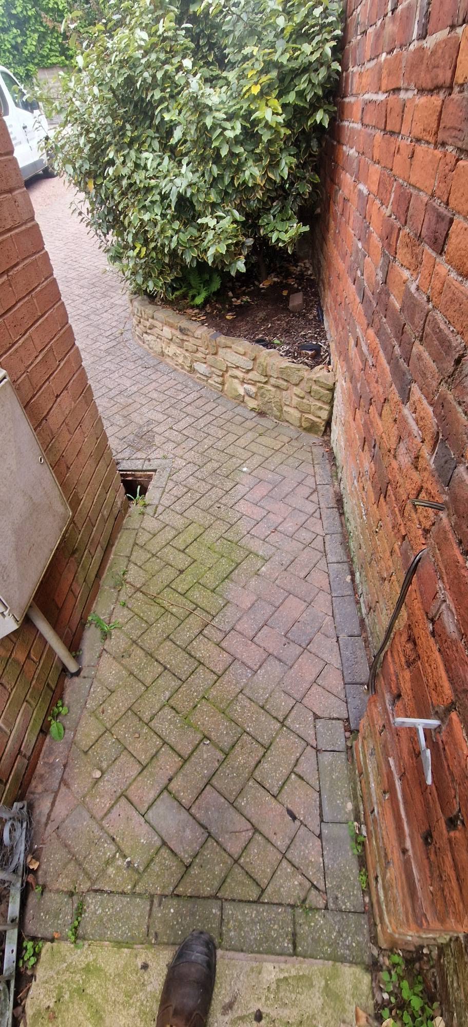Green algae covering a herringbone block paved side path before cleaning