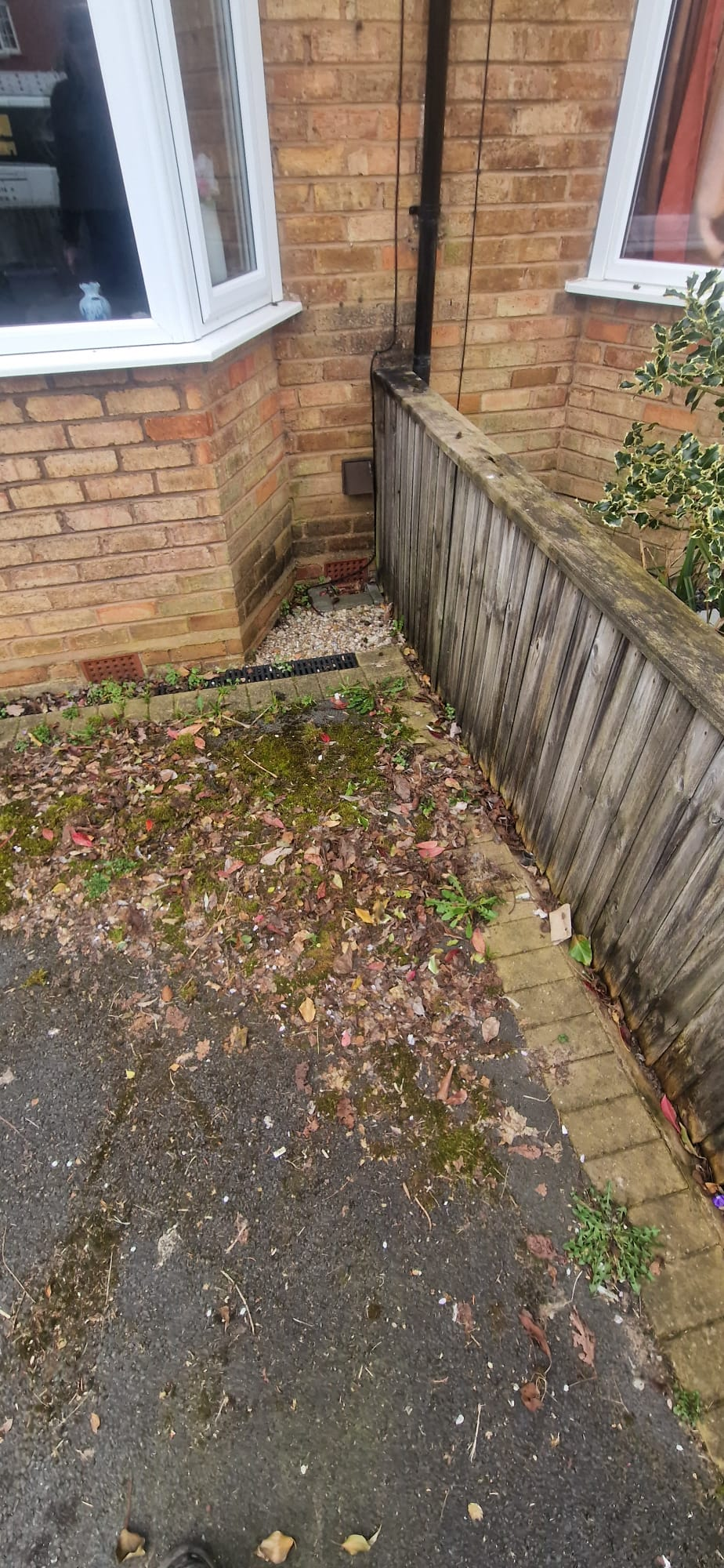 Side path buried under moss, weeds and fallen leaves before pressure washing in Redditch